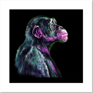 Chimp 4 Posters and Art
